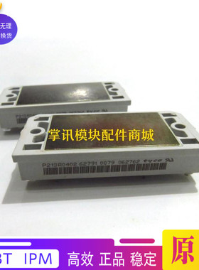 P213A0401 P213A0402 P213A0403 P213A0404 P213A0405 P213A0406