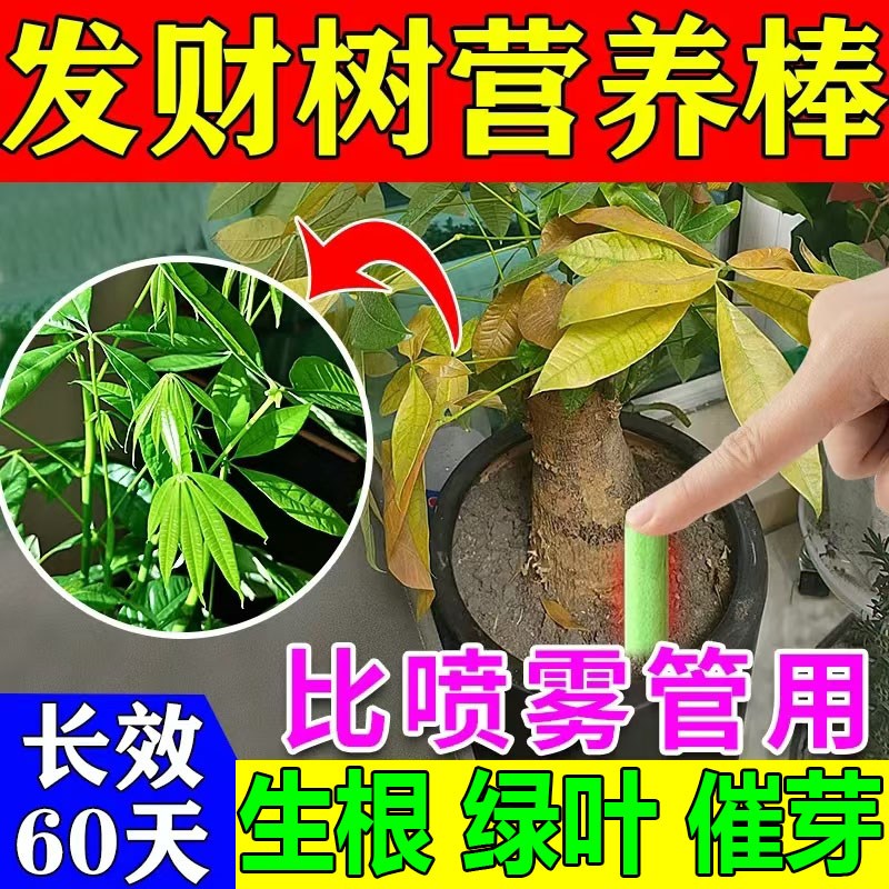 发财树专用营养棒懒人型缓释营养棒养花肥料家用通用型花卉绿植用