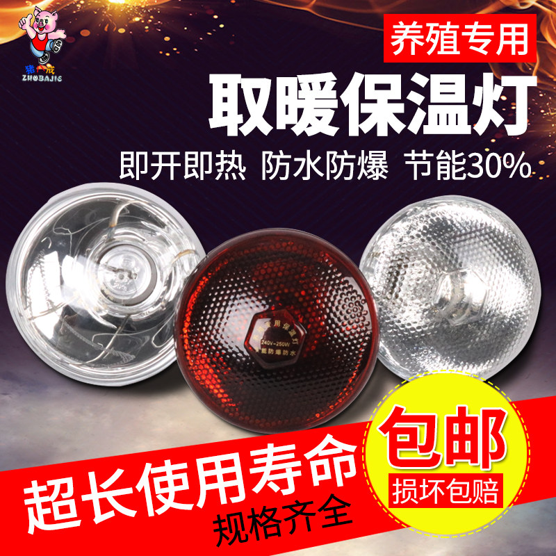 仔猪保温灯防水防爆红外线猪用养殖取暖灯泡节能加热保暖灯猪八戒,畜牧/养殖物资,畜牧/养殖器械,淘宝优惠券,粉丝福利购,淘宝优惠卷