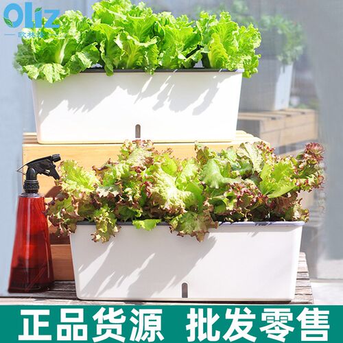 厂家大号家庭阳台种菜盆懒人塑料长方形种植箱自吸水草莓花盆
