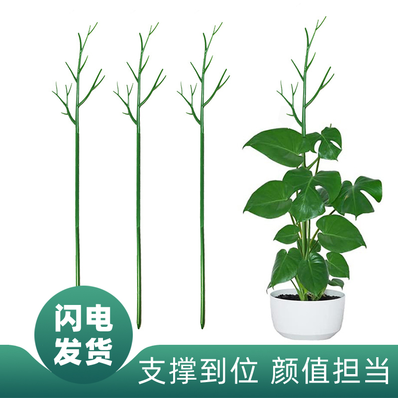 植物支撑杆龟背竹支撑架花卉绿植造型支架固定防倒伏爬藤装饰花架