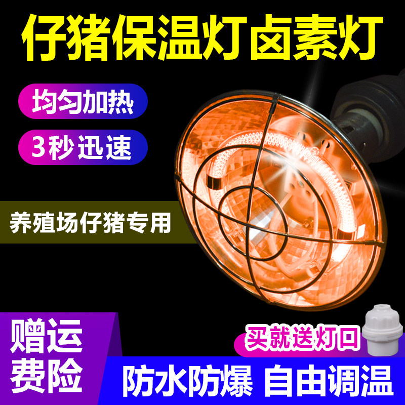 保温灯养殖场专用猪用节能灯仔猪育雏保温灯泡卤素取暖灯加热灯泡,畜牧/养殖物资,养殖保温灯,淘宝优惠券,粉丝福利购,淘宝优惠卷