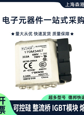 伊顿巴斯曼熔断器170M3464 170M3465 170M3466 3467 保险丝/底座