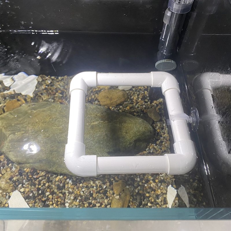 鱼缸喂食圈防飘散浮萍阻拦器龟缸投食圈大号带吸盘鱼粮投喂漂浮圈