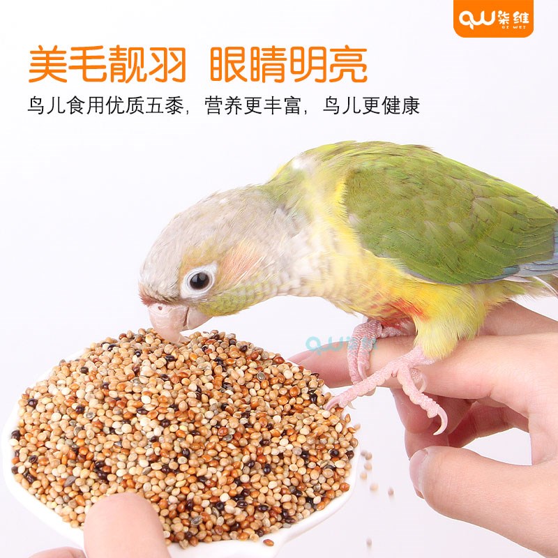 鹦鹉粮五色黍子牡丹虎皮玄风中小型鹦鹉混合营养粮美味鸟饲料