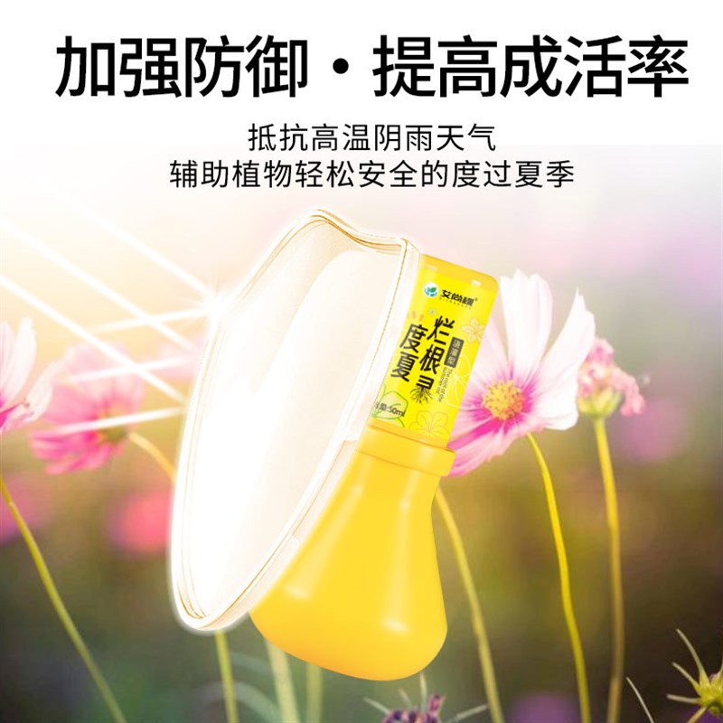 植物度夏烂根灵盆栽绿植花卉防治烂根专用药多肉发财树烂根剂花肥