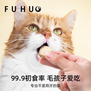 俘获G12一口清新猫咪口腔清洁仙除去嘴气牙臭冻干魔零食宠物狗方