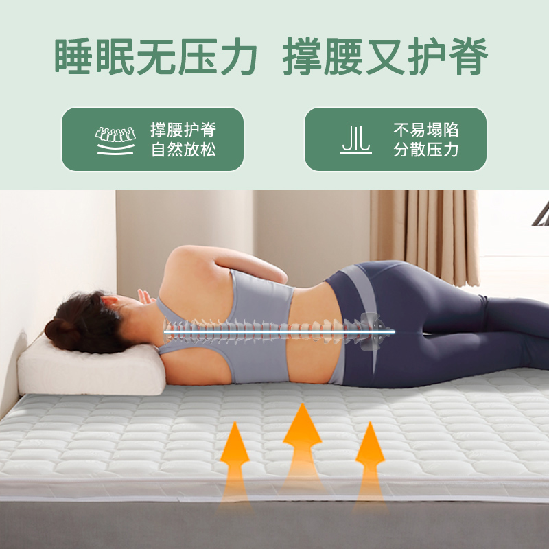 粽椰床垫棕榈硬天然家用加硬神器环保硬质软无甲醛榻榻米定制薄款