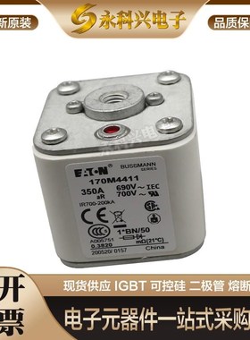 适用快速熔断器保险丝170M4392/4393/4394/4395/4396/4397/5388