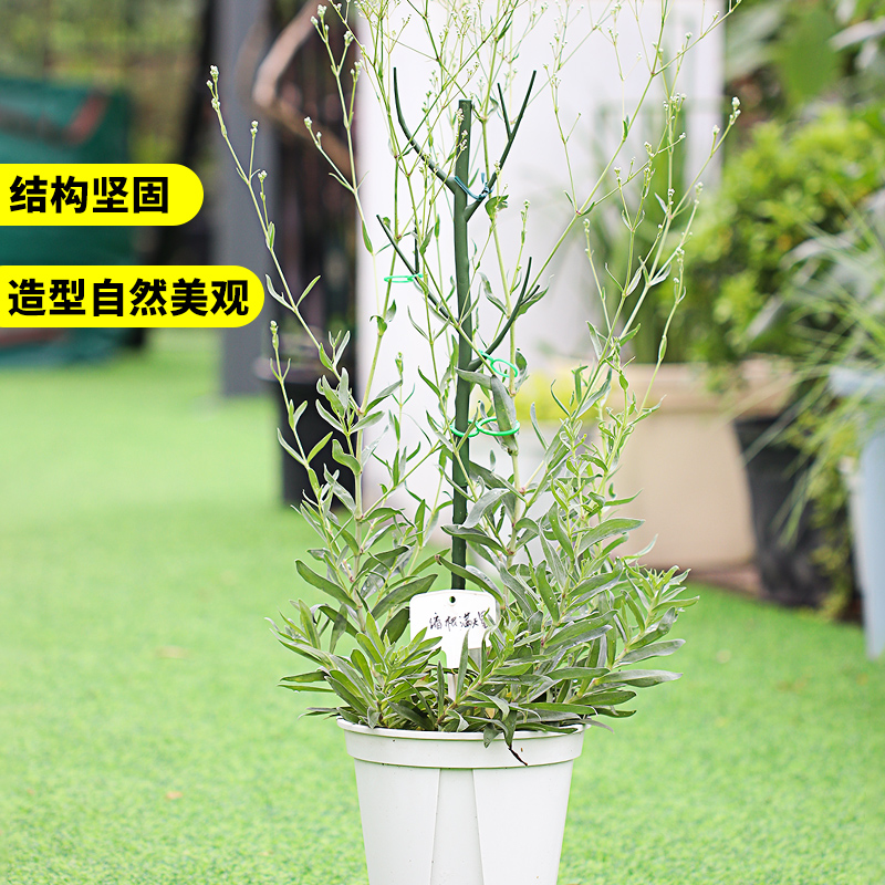 树枝型植物支撑杆防倒伏固定攀爬龟背竹支撑架爬藤园艺造型花支架