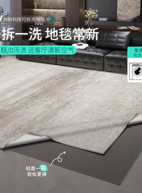 可拆洗地毯客厅轻奢高级免洗可擦灰色意式极简卧室地垫家用防水防