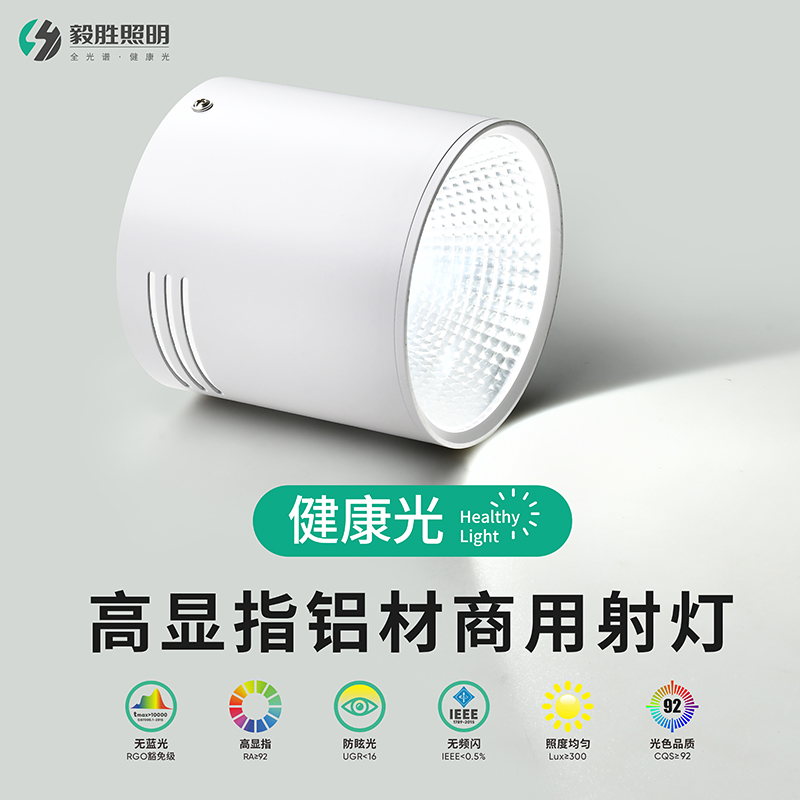 LED明装筒射灯免开孔圆形吊装形吸顶餐厅灯商用V美术馆艺术吊灯