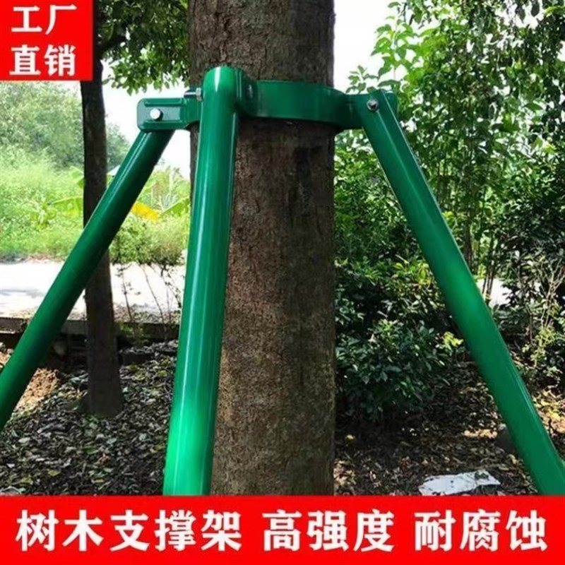 树木支撑固定器铁抱箍防风支撑杆绿化行道镀锌钢S管苗X木支撑架烤