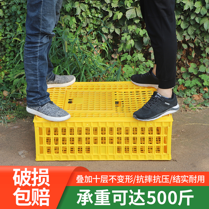 加厚大号鸡笼运输笼塑料家禽周转箱成鸡鸭鹅鸽子笼子家用大号兔笼
