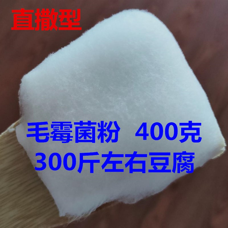 直撒腐乳曲毛霉菌种毛豆腐霉豆腐霉千张霉豆渣臭豆腐菌400g白毛