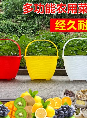 塑料提篮捡菌水果送饭野餐提篮家用购物篮饮料提篮买菜篮采摘篮子