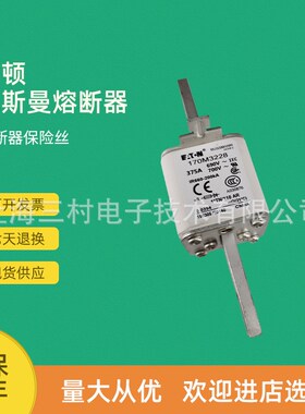全新原装快速熔断器保险丝170M3417 170M3418 170NM3419 170M3420