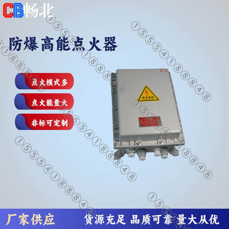 防爆高能点火器点火杆锅炉火炬点火装置点火能量多种选择