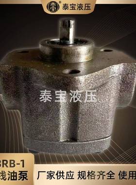 供应摇摆齿轮油泵SBRB-1定流向摆线润滑泵机床用