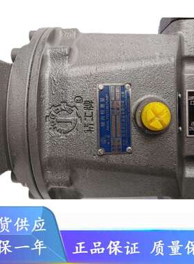 精工牌QG10/25/6380/107/160/250/280/320Y-RP启东高压柱塞泵油泵