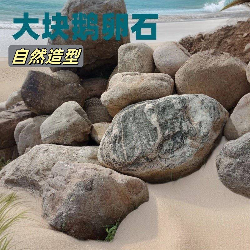 供应泰山石门口刻字鹅卵石园林风景石公园建筑鹅卵石大块河卵石