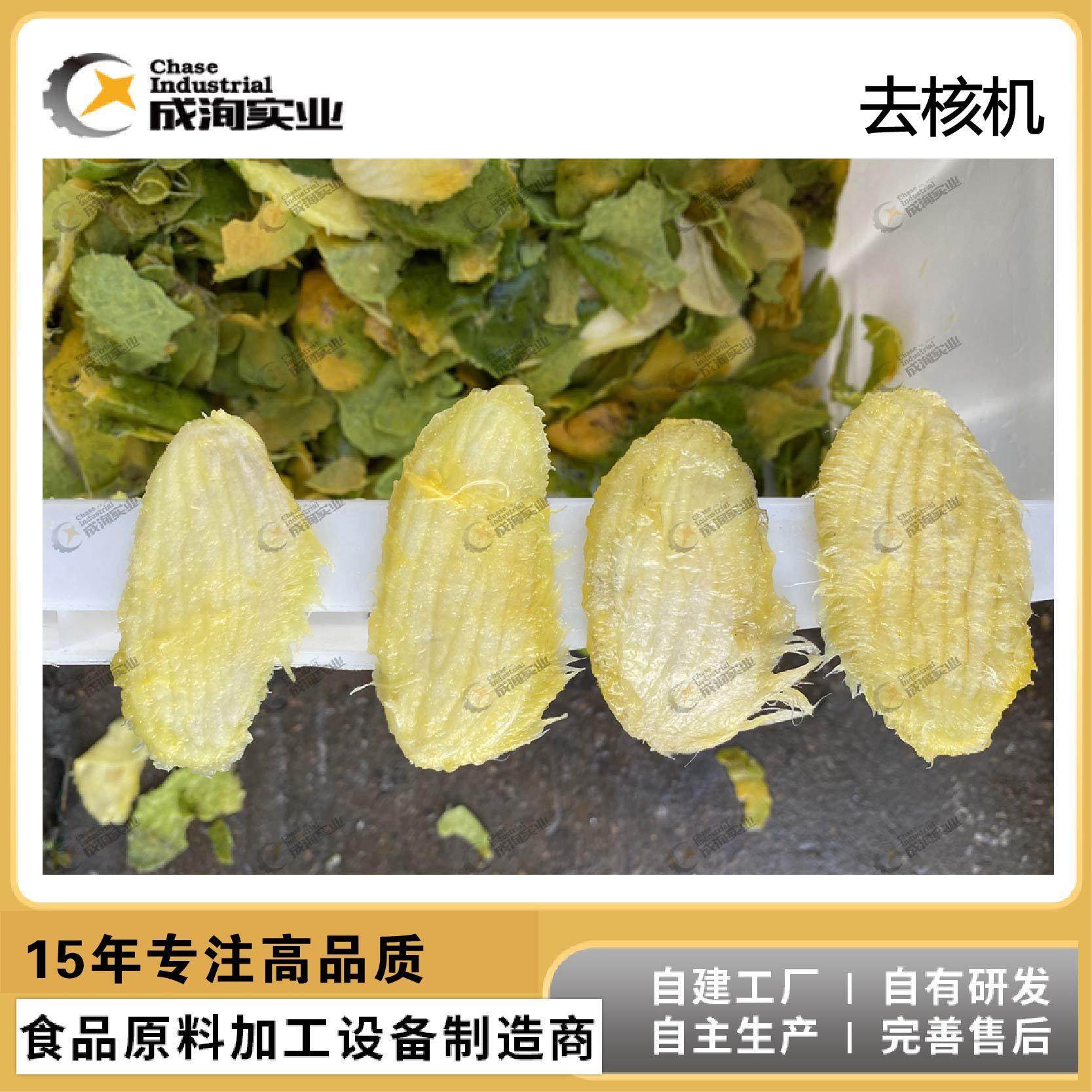 【实力工厂】硬核水果去核机 红枣芒果百香果罗汉果等去核设备,清洗/食品/商业设备,滚揉机,淘宝优惠券,粉丝福利购,淘宝优惠卷