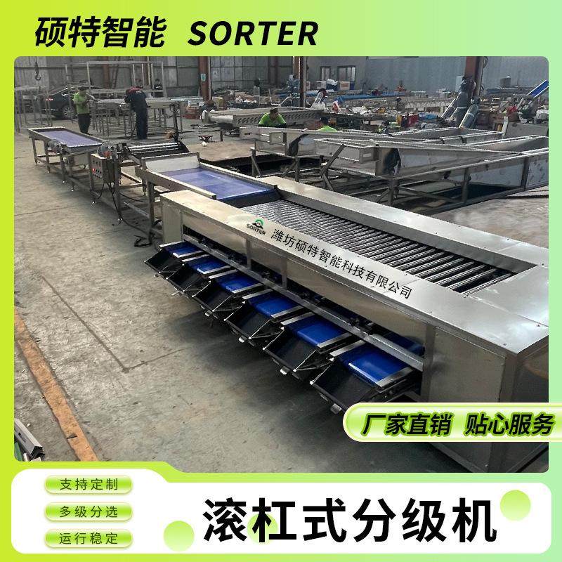 百合球直径分拣机 青皮核桃选果机 蒜头大小挑选设备 山楂分选机,清洗/食品/商业设备,选果机/分选机,淘宝优惠券,粉丝福利购,淘宝优惠卷