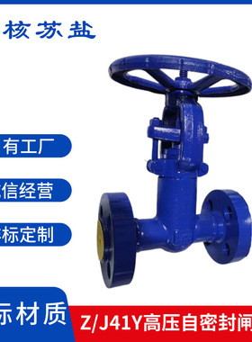 Z/J41H/Y-1500LB2500LB美标A105锻钢F11自密封闸阀手动法兰截止阀