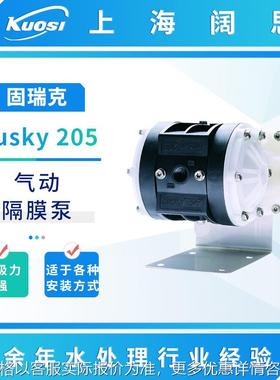 Husky 205 1/4寸PP气动隔膜泵工业流体输送泵小型污水泵
