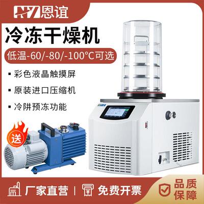 恩谊 冷干机冷冻干燥机空压机过滤器预冻真空冻干机实验室干果机