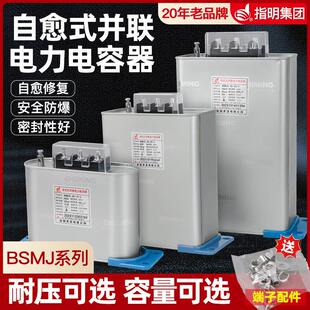 指明自愈式无功补偿并联电力电容器BZ/BC/BSMJ0.4/0.45-30-3/20-3