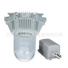 NFE9180泛光灯 BNFE9180防眩应急泛光灯 乐清防眩应急泛光灯