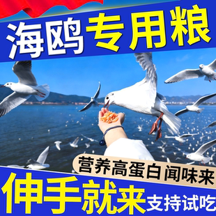 海鸥专用粮红嘴鸥鸥粮喂养景区户外鸟食投喂高蛋白营养鸟粮磷虾干