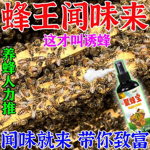 诱蜂膏神器蜂蜡诱蜜蜂野外用中土蜂新手养蜂专用工具神奇招引蜂水