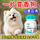 狗嘴不臭 宠物口齿净除臭促进消化调理肠胃可食用解决宠物