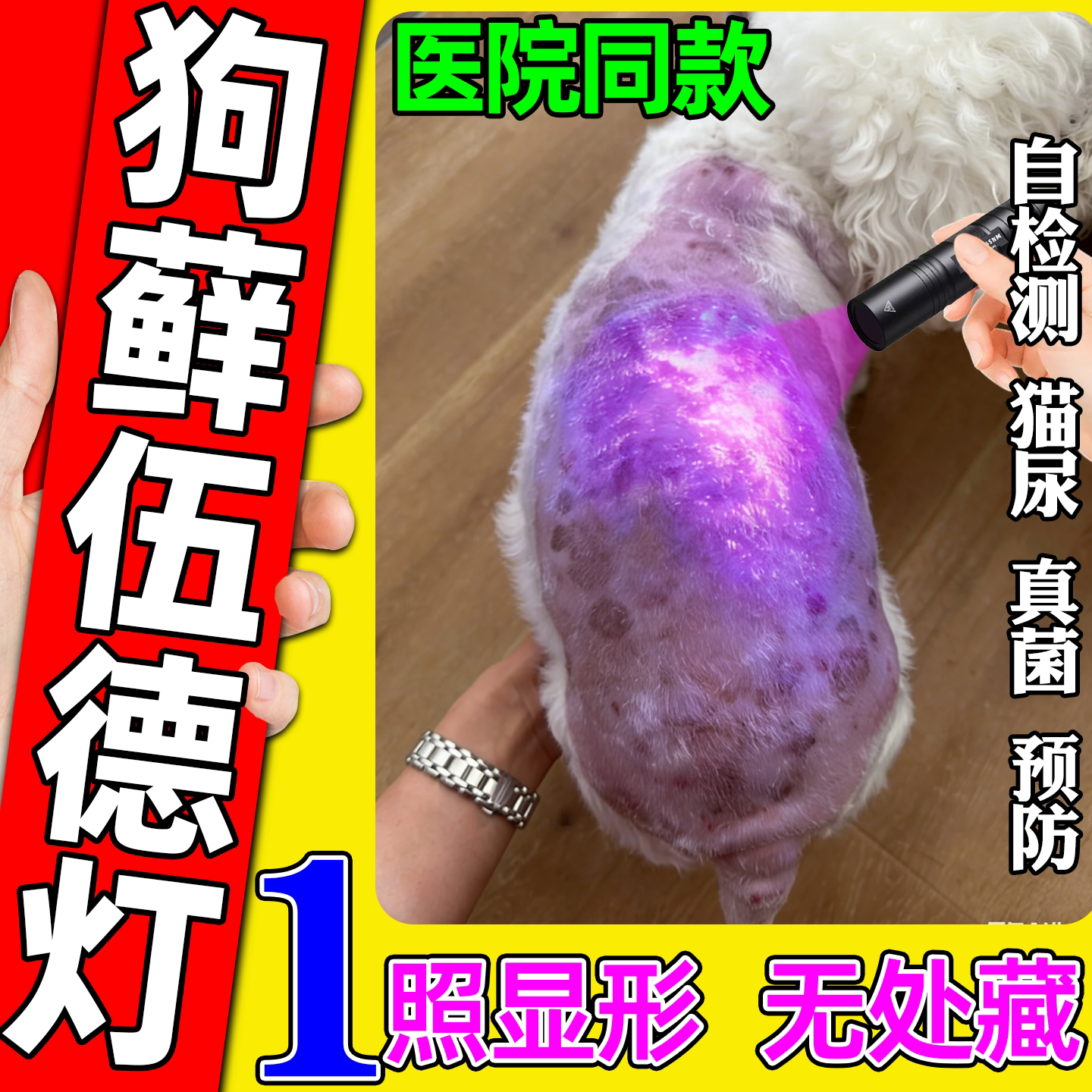 伍德氏灯狗狗检测宠物猫藓尿渍真菌专用365nm紫光手电筒医院同款图片