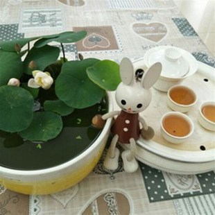 荷塘土荷塘泥花土菜土果树土鱼塘泥种植土泥土优质池塘泥土通用土