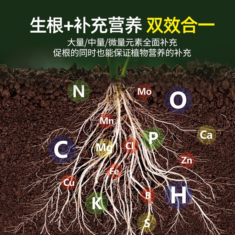 扦插生根液专用月季快速高效生根花卉植物通用果树老桩移栽发根剂