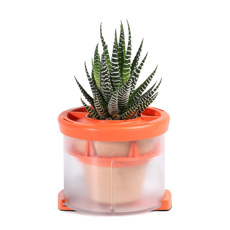 车载植物小盆栽养花器多肉盆车空气净化车内载摆件绿植中控台摆件