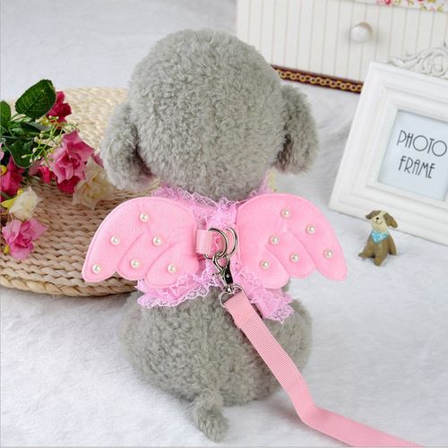 宠物牵引绳猫咪狗狗翅膀胸胸背带泰迪博美小型犬牵引绳天使胸背带