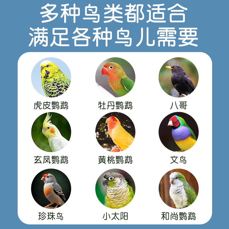 小鸟八哥洗澡盆特大号专用神器虎皮玄凤鹦鹉洗澡盒外内挂用品大全