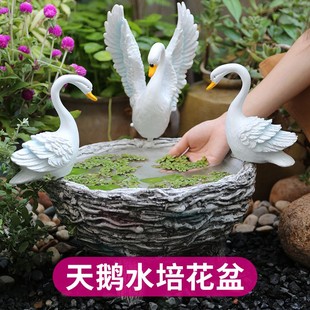 铜钱草花盆大号水培水养绿萝碗莲水仙花庭院阳台家用别墅花园布置