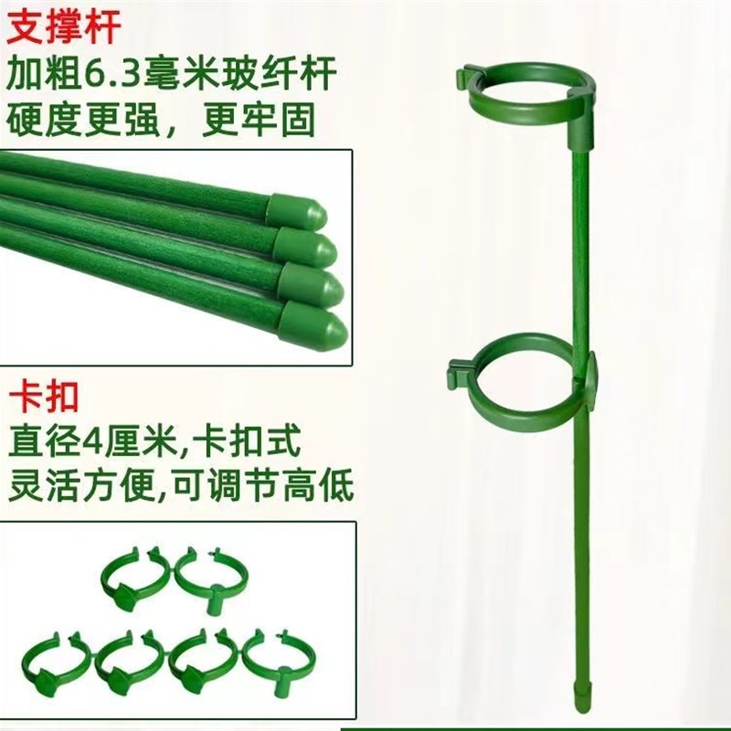 蝴蝶兰支架支撑杆金钱树加粗款植物绿植固定防倒伏花架子