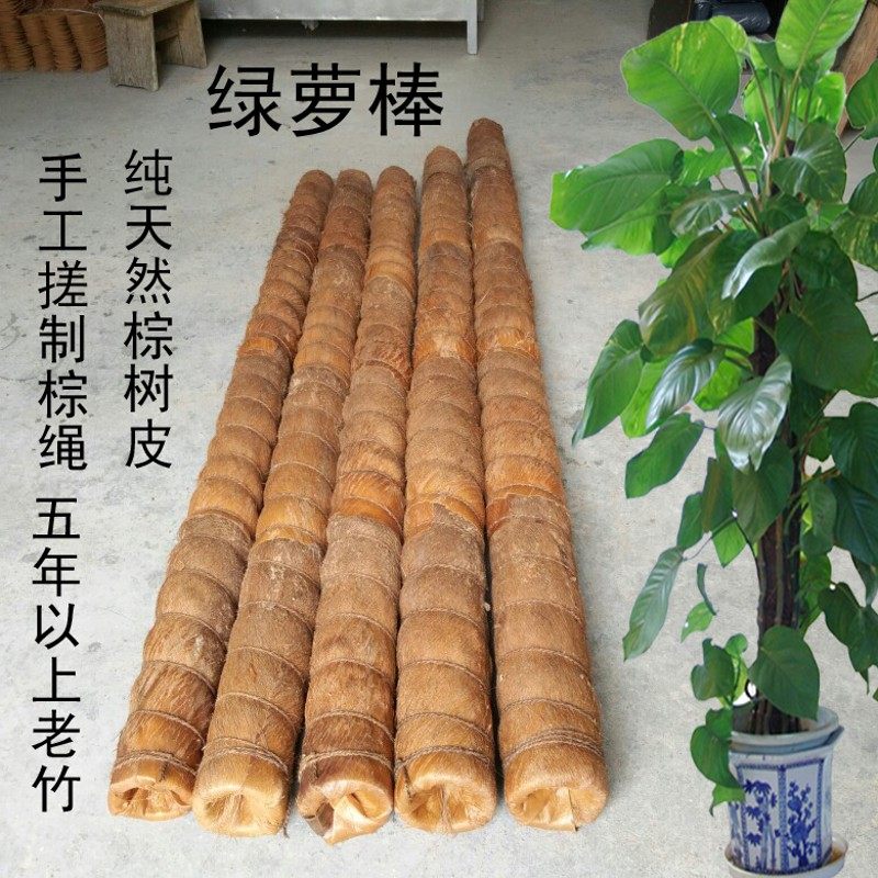 绿萝棒绿萝柱绿萝桩爬藤花架攀爬架椰棕柱棕棒室内盆栽植物架包邮