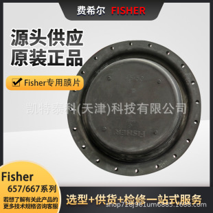 2E791902202 Size 费希尔Fisher657执行机构膜片657