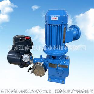 电冲程计量泵自动控制计量泵电动调节计量泵C4F6计量泵R2计量泵