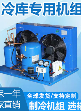 Condensing unit 高性能涡旋冷凝机组冷库冷凝单元冷凝制冷机组
