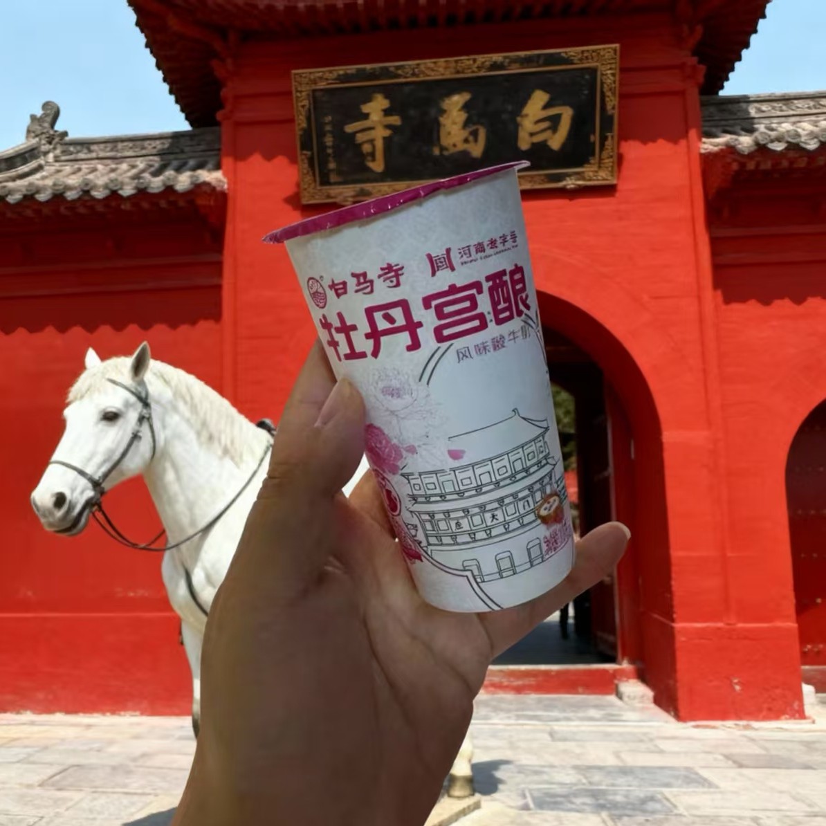 洛阳白马寺酸奶新款牡丹宫酿180g杯装生牛乳发酵风味酸牛奶早餐奶图片
