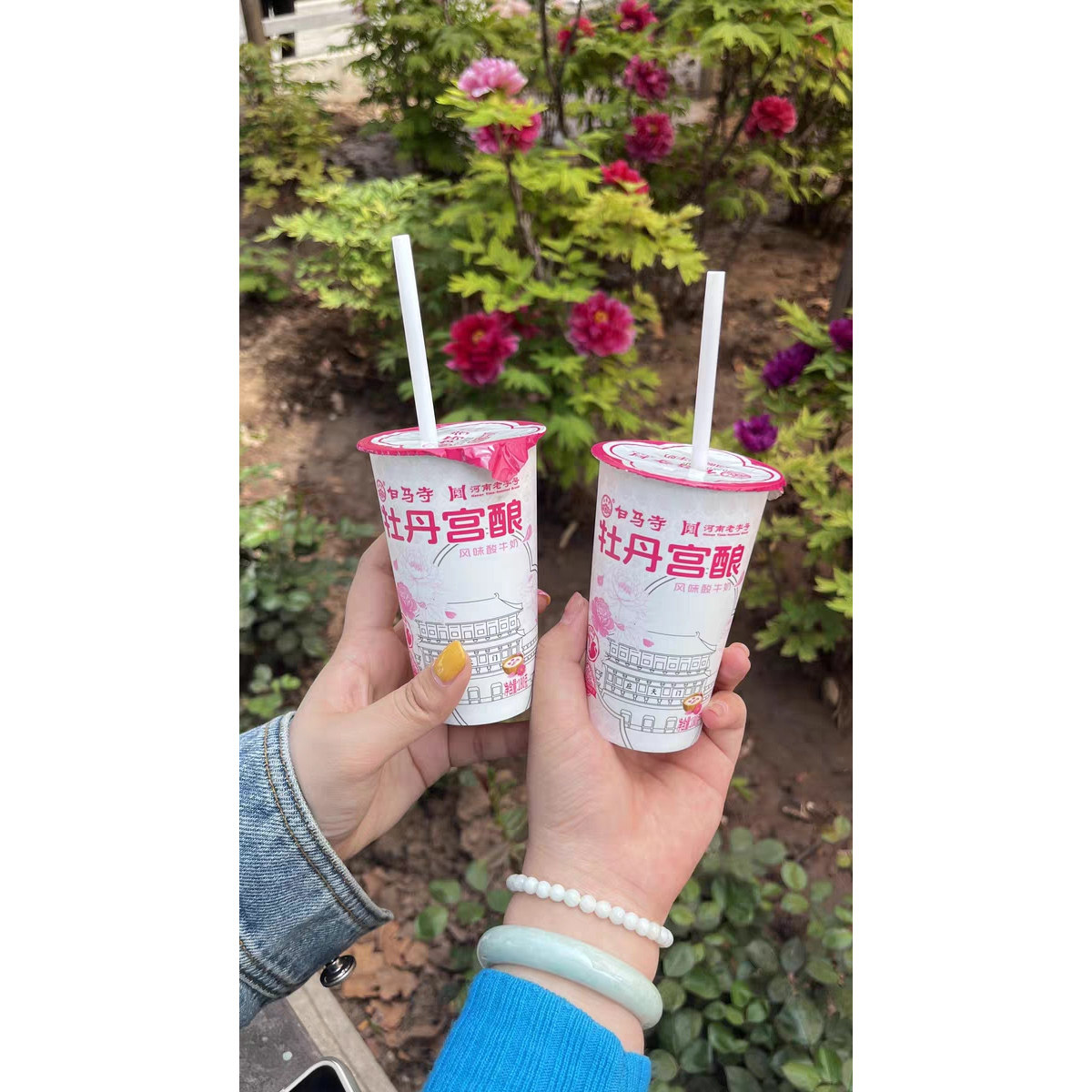 洛阳白马寺酸奶新款牡丹宫酿图片