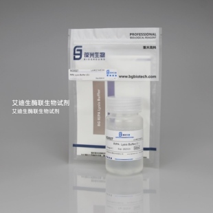 BG RIPA组织细胞裂解液,可有效提取细胞质、细胞膜以及细胞核蛋白